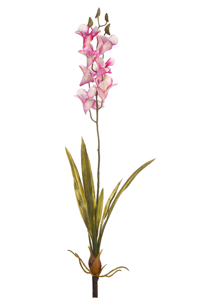 product_variant.name