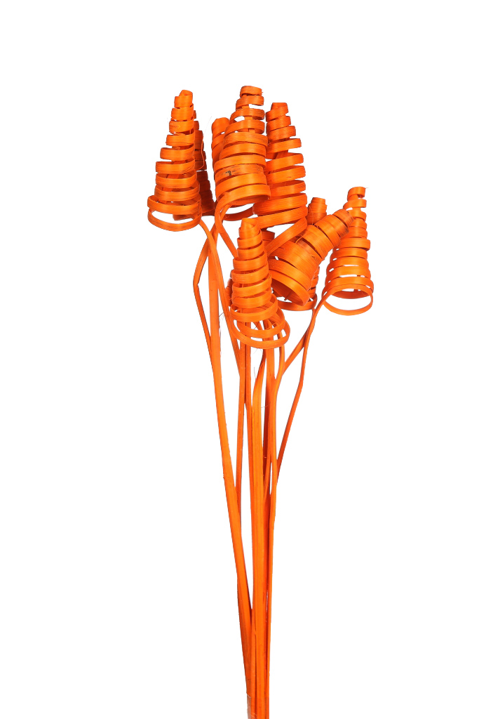 product_variant.name