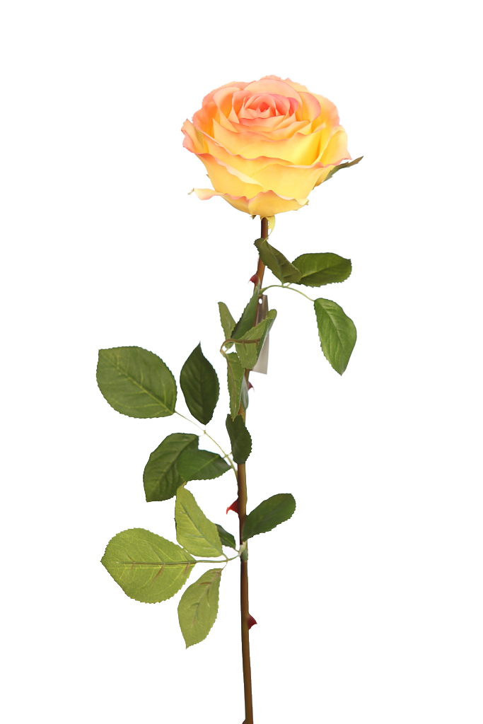 product_variant.name