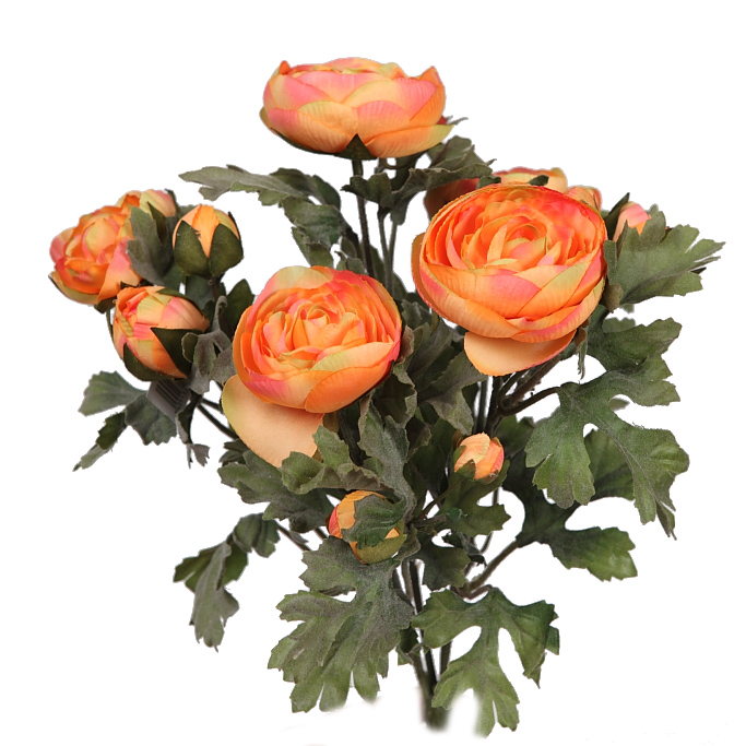 product_variant.name