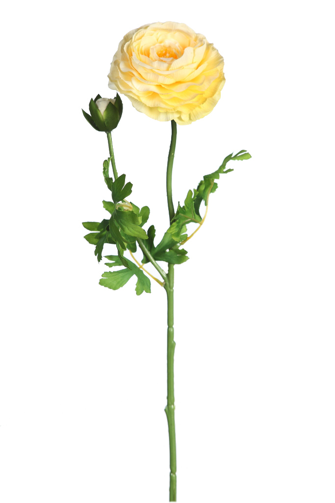 product_variant.name