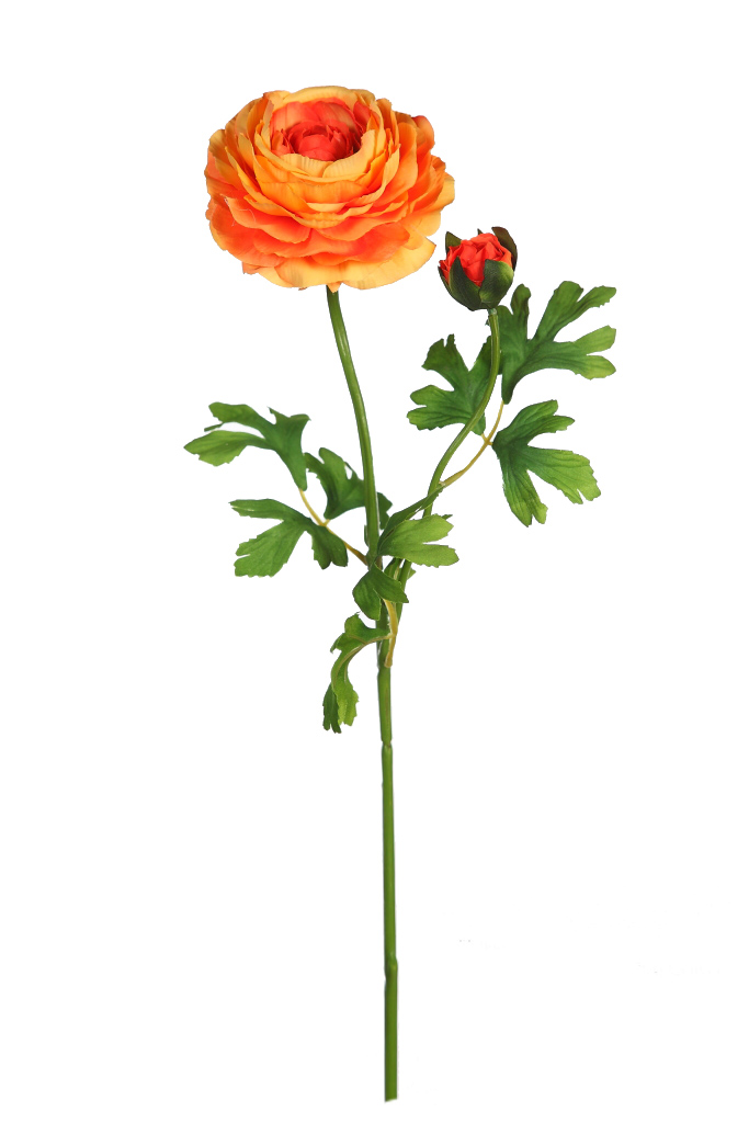 product_variant.name