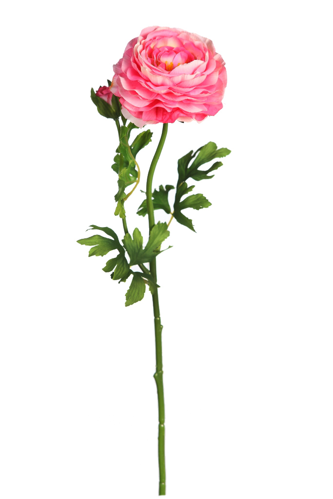 product_variant.name