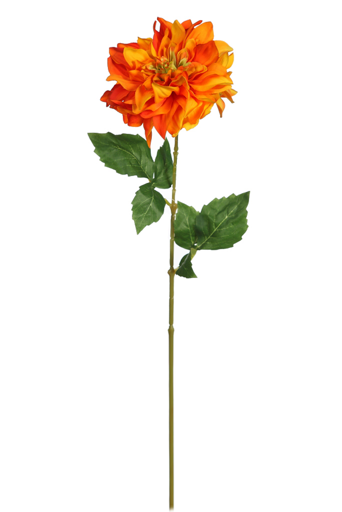 product_variant.name