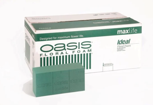 CAJA ESPONJA AGUA OASIS IDEAL 20 TACOS