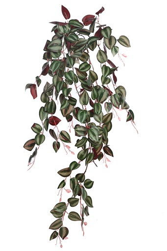 TRADESCANTIA ARTIFICIAL COLGANTE 90CM