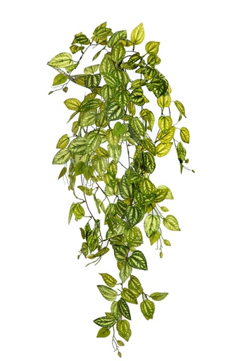 PLANTA FITONIA ARTIFICIAL 90CM