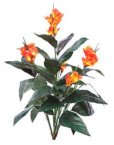 PLANTA CANA MUSA 107CM