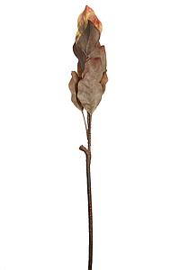 VARA HOJAS OTOÑAL  80CM