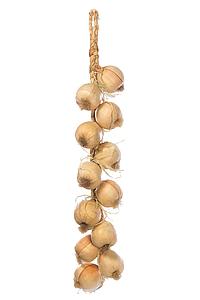 RISTRA DE CEBOLLAS 60CM