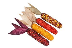 SET DE 4 MINI MAZORCAS BRILLO 20CM 