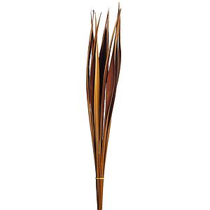 COCA BAHIA VERDE 72CM