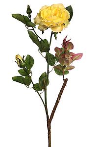 VARA ROSA WILD 65CM