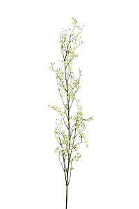 VARA DE GISOFILA 130 CM
