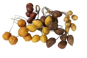 CAJA FRUTOS OTOÑALES