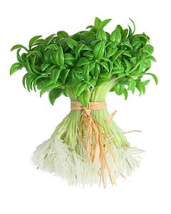 MANOJO CON RAICES ARTIFICIAL 15CM 