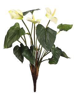 PLANTA ANTURIO 44CM