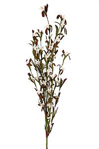 VARA MINI LILY DE FOAM 74 CM