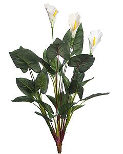 CALA LILY 61CM
