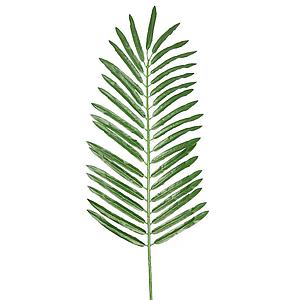 HOJA CICA ARTIFICIAL, 58CM
