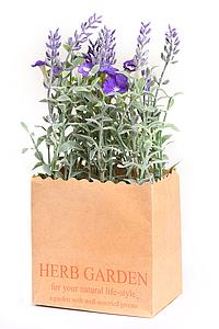 LAVANDA EN BOLSA DE PAPEL 21 CM