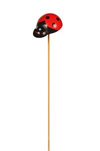 PALITO MARIQUITA 