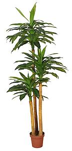 DRACENA ARTIFICIAL EN MACETA 170CM
