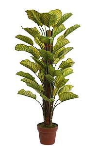 TUTOR CALATHEA ARTIFICIAL EN MACETA 100CM