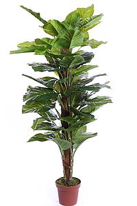 POTHO ARTIFICIAL EN MACETA 150CM 