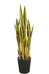 SANSEVIERIA ARTIFICIAL EN MACETA 106CM