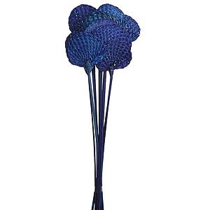 POMO DE PAY PAY 50CM