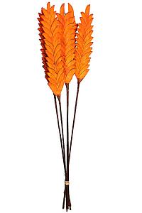 SOLA CHIPS PINE FLAT X6 60CM