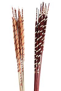 REED SPADIX BROWN WITH RAFFIA SPIRAL 10UD 62CM
