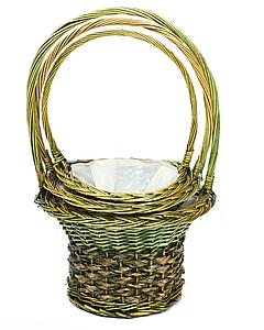 CESTA SET X3 55CM