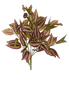 PLANTA TRADESCANTIA ARTIFICIAL 40CM