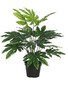 PLANTA ARALIA ARTIFICIAL CON MACETA
