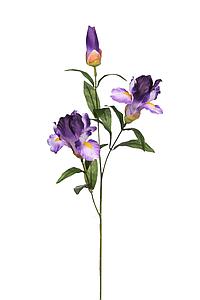 VARA IRIS ARTIFICIAL 60 CM 