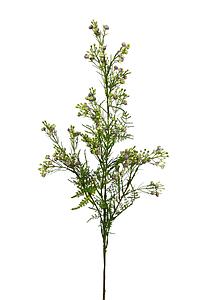 VARA GYPSOFILA ARTIFICIAL 