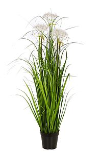 PLANTA GRAMINEA 114 CM