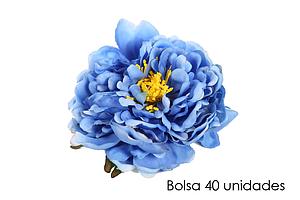 BOLSA DE 40 CABEZAS DE PEONIA ø 14CM