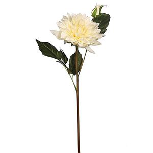 VARA DE DALIA 65 CM