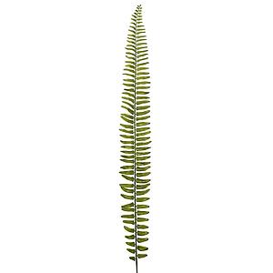 HOJA DE HELECHO 68 CM
