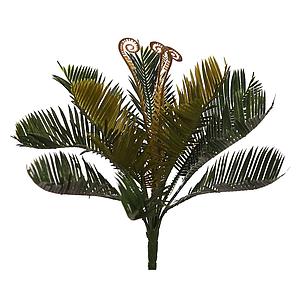 PLANTA CYCA 34CM