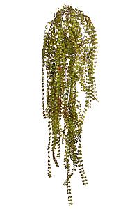 COLGANTE EUCALIPTO 100CM