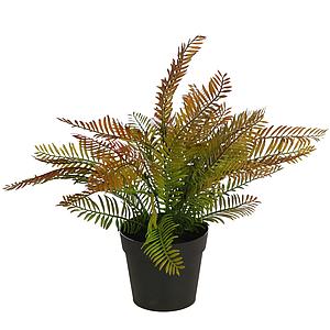 MATA HELECHOSA CON MACETA 38 CM