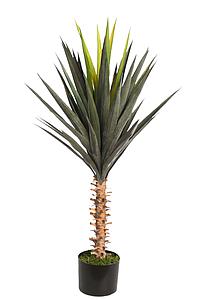 PLANTA DE AGAVE CACTUS CON MACETA 95 CM