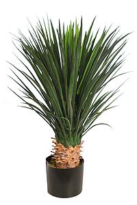 PLANTA DE AGAVE CACTUS CON MACETA 80 CM