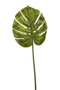 VARA HOJA MONSTERA 64 CM