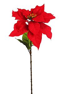 VARA POINSETTIA 70CM