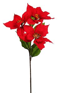 RAMA FLOR DE PASCUA 72CM